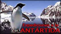 Cruises to Antarctica