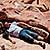 Fossils of 'biggest' dinosaur found in Argentina.
